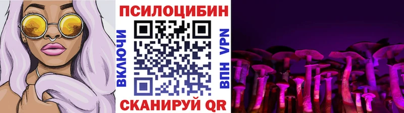 Галлюциногенные грибы Psilocybine cubensis  что такое наркотик  Киренск 